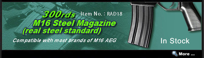 M16 300rds